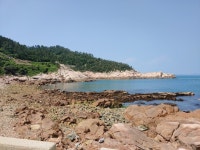 덕우민박