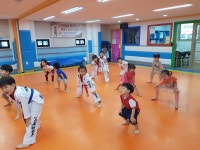 용인대석사범호태권도