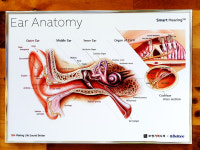 보청기매니져 여의점