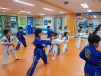 용인대석사범호태권도