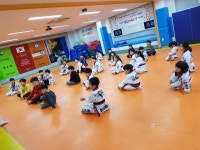 용인대석사범호태권도