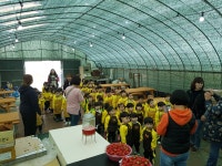 널위한 딸기 1농장