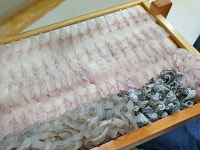 금강수산
