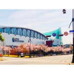 스포츠아일랜드 수영장