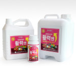 농업회사법인친환경유기농사관학교