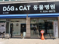 도그앤캣동물병원