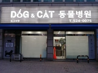 도그앤캣동물병원