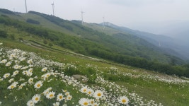 상준네  농원