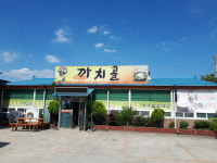 까치골