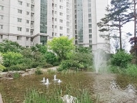 우미린 백두산 공인중개사 사무소