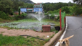 젠모텔