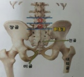 맞춤체형관리센터