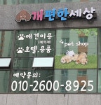 개편한세상
