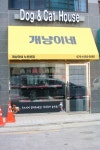 개냥이네 노원본점