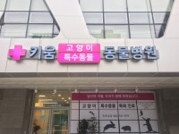 제주키움동물병원