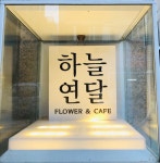 하늘연달