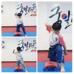 국일태권도장
