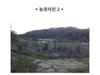사부리토사자농장