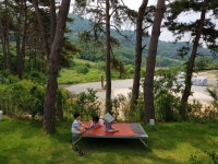 솔내음물댄동산