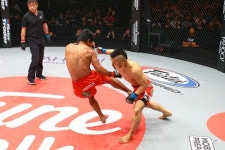 국제체육관미아점복싱무에타이MMA주짓수