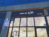 살롱드은하