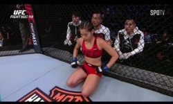 국제체육관미아점복싱무에타이MMA주짓수