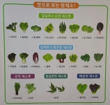 늘푸른삼겹쌈