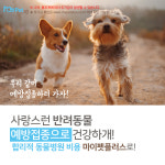 마이펫플러스