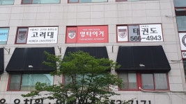 고려대영타이거태권도