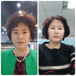 인셀덤성공