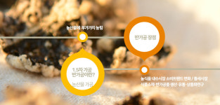생자연농업회사법인