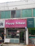 퍼피스쿨