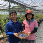 온새미로팜
