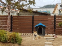 주목나무펜션