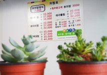 옥이아구찜