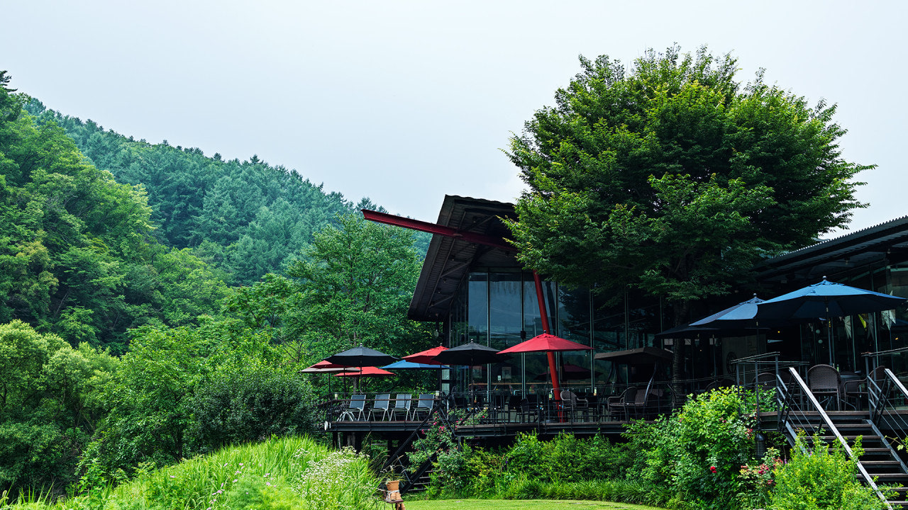 엔로제