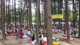 금원수목원수영장