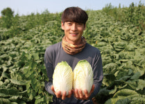 아어가지