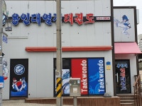 용인대열정태권도