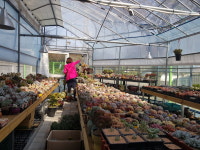 아라비카호스텔