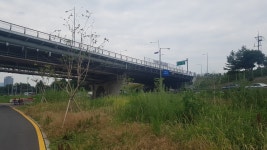 이화교