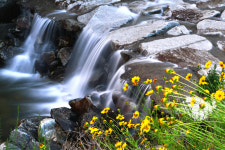 용소폭포유원지식당