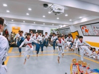국가대표호동태권도