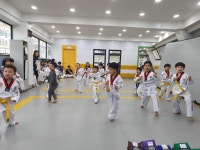 국가대표호동태권도