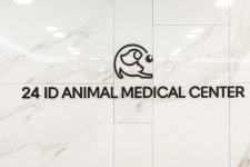 광명24아이디동물의료센터