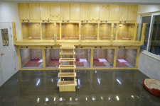 도그원 애견호텔&유치원