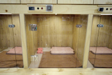 도그원 애견호텔&유치원