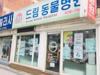 드림동물병원