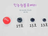 민농원블루베리