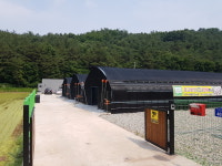 황금표고버섯